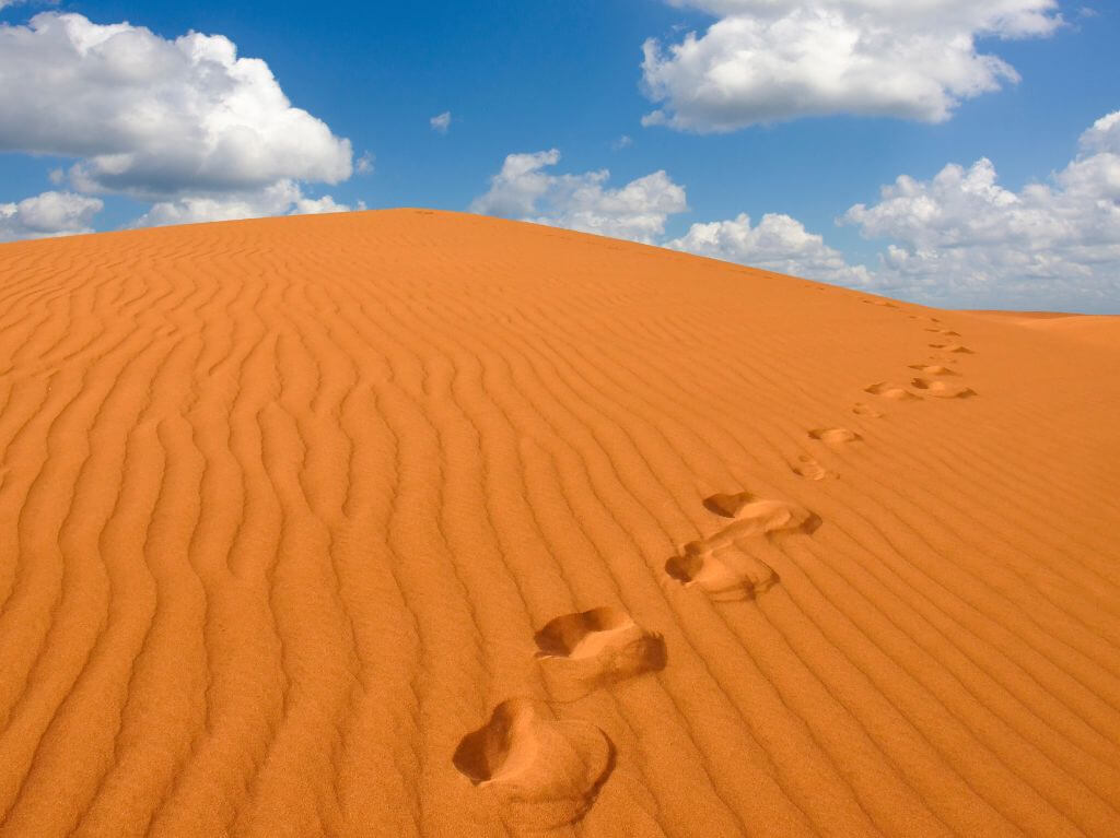 Dine Maspalomas na Gran Canarii